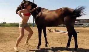 Quand ton cheval t'aide à grimper sur son dos... ahaha