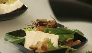 Des insectes dans nos assiettes demain ?