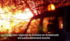 Un incendie ravage un parc naturel en Espagne