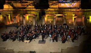 Ce chien aime bien le spectacle d'une orchestre