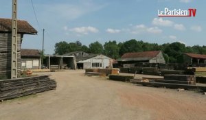 Crécy-la-Chapelle : tournage d'«Un village français» dans la scierie