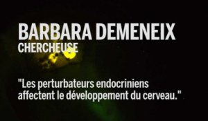 Barbara Demeneix, chercheuse : « Les perturbateurs endocriniens affectent le développement du cerveau. »