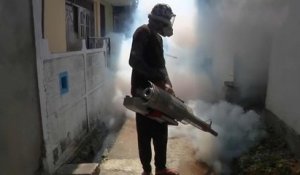 En guerre contre la dengue