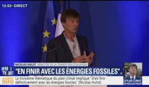 "Faire de la France le numéro 1 de l'économie verte", l'objectif annoncé par le gouvernement