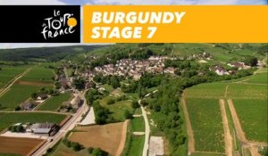 Vignes de Bourgogne / Burgundy Vineyards - Étape 7 / Stage 7 - Tour de France 2017