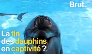 La fin des dauphins dans les parcs aquatiques ?
