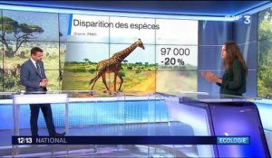 La sixième extinction de masse