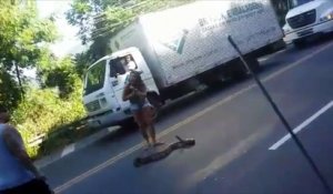 Une femme enlève un serpent du milieu de la route !