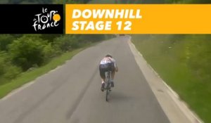 Cummings dans la descente / going downhill - Étape 12 / Stage 12 - Tour de France 2017