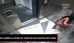 Miami : Une femme frappe violemment son chien dans l’ascenseur, les images chocs (Vidéo)