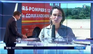 Incendie dans les Bouches-du-Rhône : un mégot à l'origine du feu