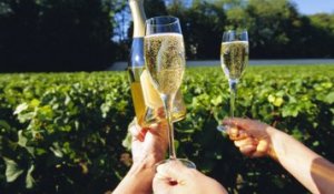 20 questions sur le vin : comment élabore-t-on du champagne ?