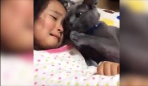Ce chat adorable console cette petite fille en pleures... Trop mignon