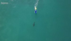 Afrique du Sud: un requin s'invite dans une compétition de surf