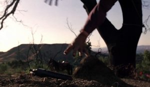 La saison 2 de Westworld se dévoile dans un premier teaser