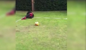 Balotelli s'essaye au dizzy penalty challenge