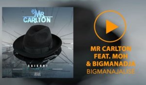 Mr. Carlton - Bigmanajalisé