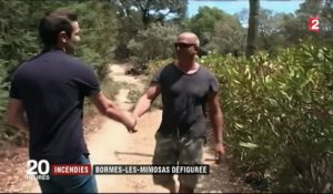 Après l'incendie, Bormes-les-Mimosas défigurée