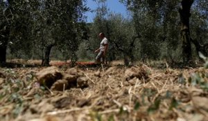 L'Italie souffre de la sécheresse