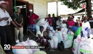 Madagascar : ruée sur la vanille