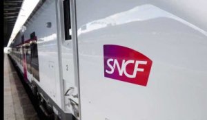 Montparnasse : après l’incident, la SNCF promet de se moderniser