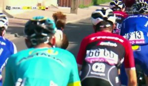 Tour de Pologne 2017 : Un poney prend part à la course avec les cyclistes !