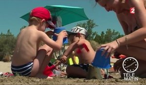 Vacances : les chiens désormais acceptés sur une plage de la Grande-Motte