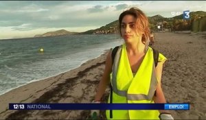 Jobs d'été : des saisonniers pour nettoyer les plages