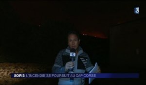Corse : 350 hectares de végétation ravagés par les flammes