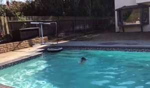 Un petit garçon a trouvé une solution pour ne pas sortir de la piscine !