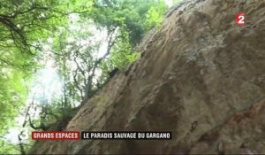Italie : le paradis sauvage du Gargano