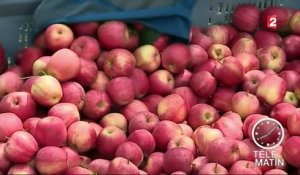 Le cri d'alarme des producteurs de fruits européens