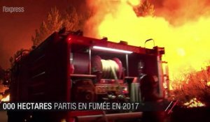 Portugal: 141 000 hectares partis en fumée en 2017