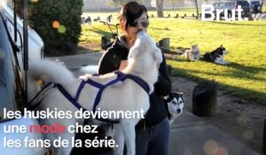 Quand Game of Thrones provoque l'abandon des huskies