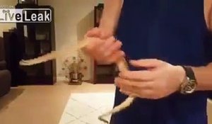 Il manipule un serpent venimeux.. et se fait mordre !!