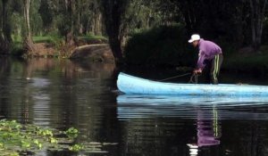 Les pêcheurs veulent sauver le jardin aztèque de Xochimilco