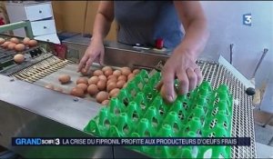 La crise des œufs contaminés profite aux petits producteurs