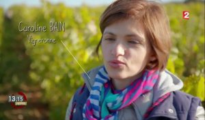 "13h15". Les secrets d'un vigneron biodynamique pour son vin naturel