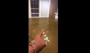 Un poisson s'invite à une maison inondée ,le propriétaire décide de fair la pêche