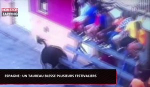 Espagne : Un taureau percute une tribune et fait plusieurs blessés (Vidéo)