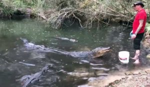 Il sert de repas aux alligators d'une manière incroyable!