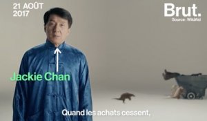 Jackie Chan à la rescousse du pangolin
