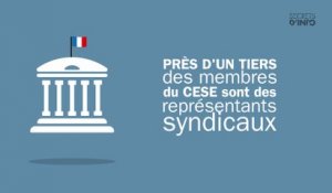 Peut-on réformer le Conseil Economique Social et Environnemental ?