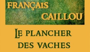 Français caillou/ Définition du jour: "Le plancher des vaches"