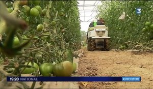 Agriculture : les robots des champs