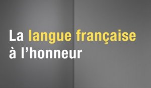 Foire du Livre de Francfort - La langue française à l'honneur (2/6)