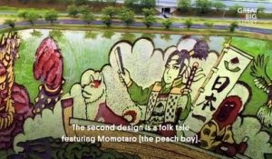 Ce petit village japonais colore ses rizières pour créer des dessins géant et relancer le tourisme