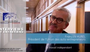 Questions à François HUREL (Union des auto-entrepreneurs) - travail indépendant  - cese