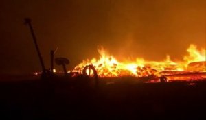 Les incendies continuent de s'étendre en Californie et ravagent des milliers d'hectares