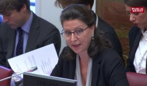 Budget de la Sécurité sociale 2018 : Agnès Buzyn et Gérald Darmanin au Sénat